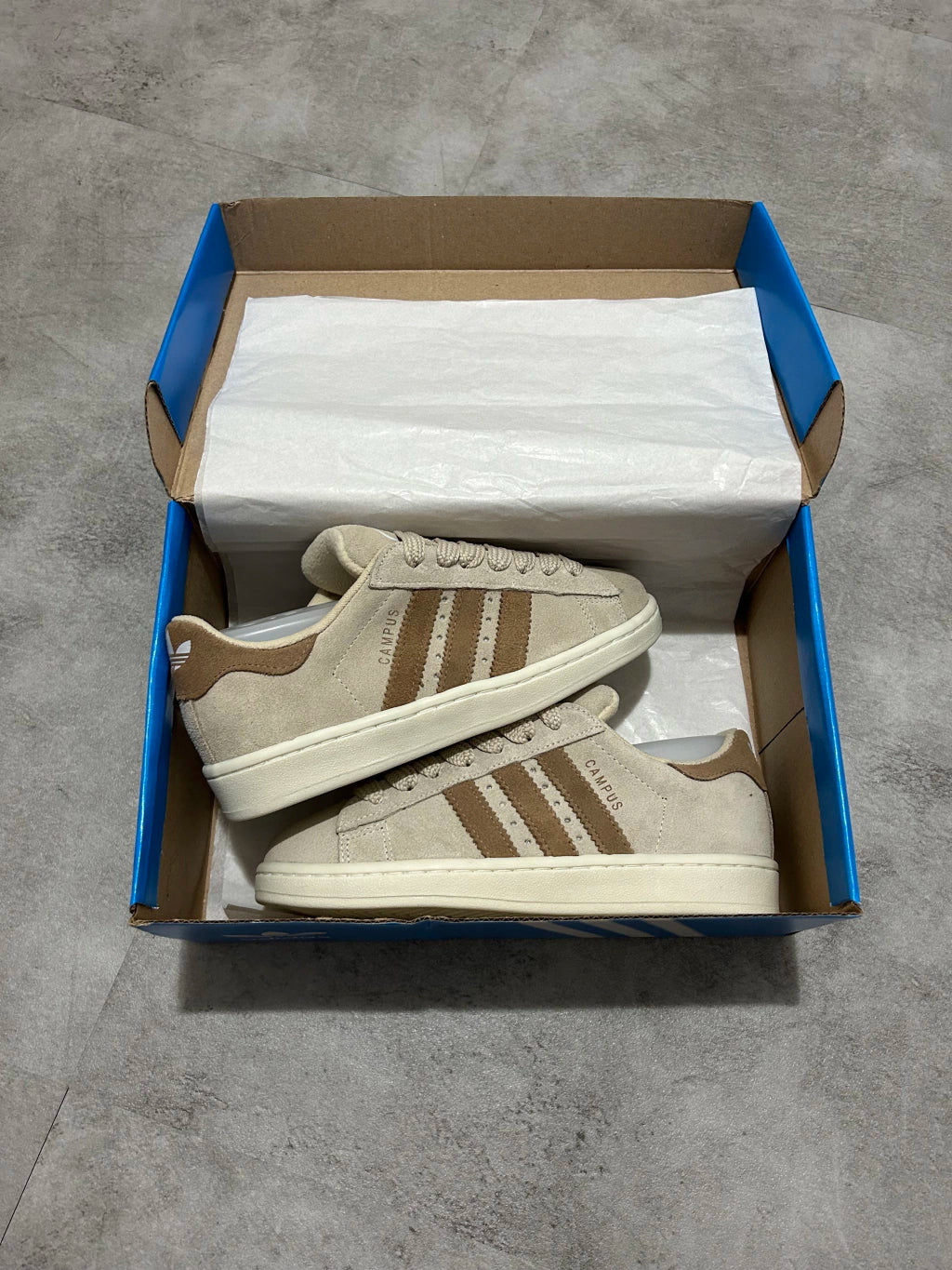 Adidas Campus - Bege com Marrom